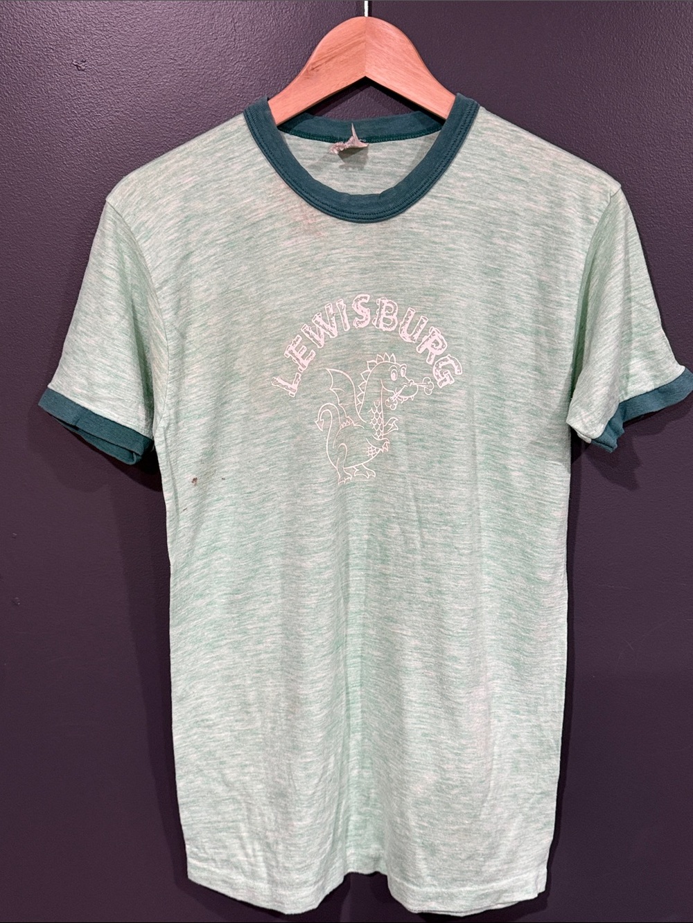Lewisburg Dragon Mint Green Ringer Tee - Casual Men’s Shirt
